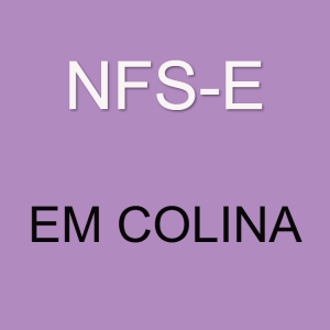 emitir-nfse-em-colina emitir-nfse-em-colina