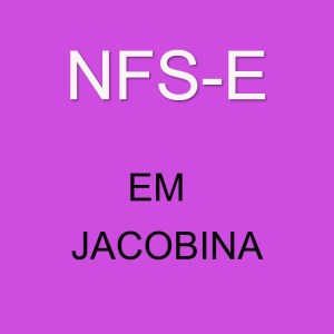 emitir-nfse-em-jacobina emitir-nfse-em-jacobina