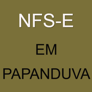 emitir-nfse-em-papanduva