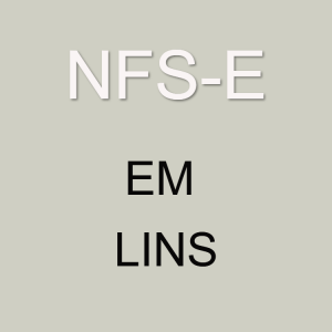 emitir-nfse-em-lins