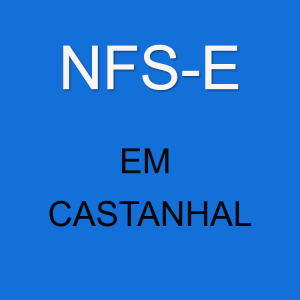 emitir-nfse-em-castanhal